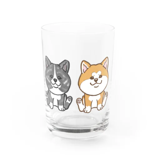 ２人は仲良し秋田犬 Water Glass