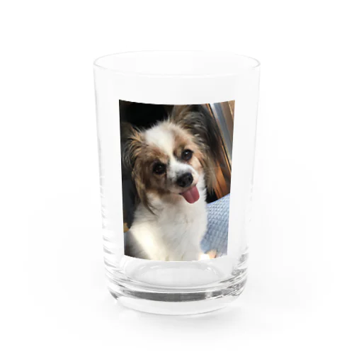 らんらんら Water Glass