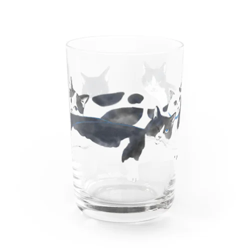 白黒猫たち Water Glass