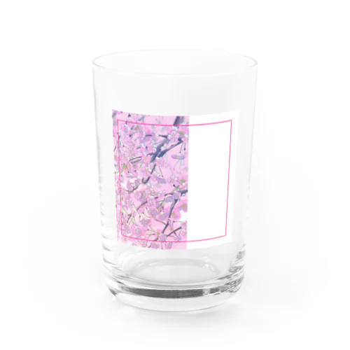 桜の花びら Water Glass