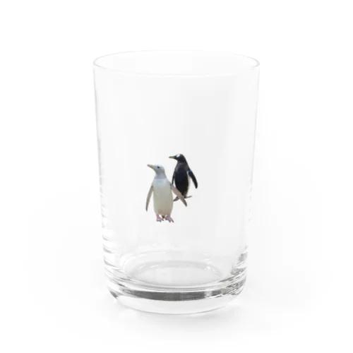 エディンバラのジェンツーペンギン Water Glass