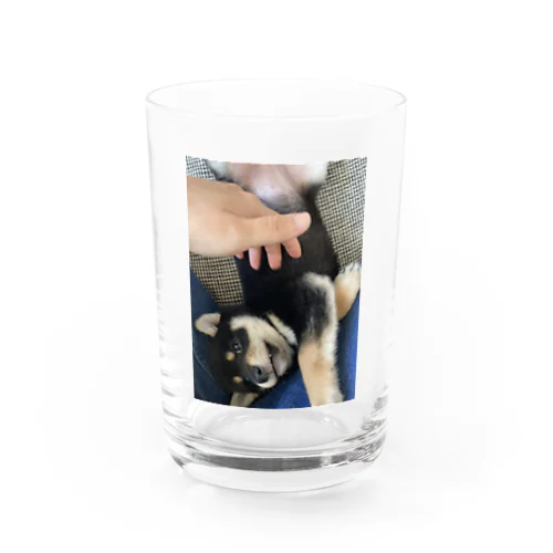 くつろぎたま子のコップ Water Glass