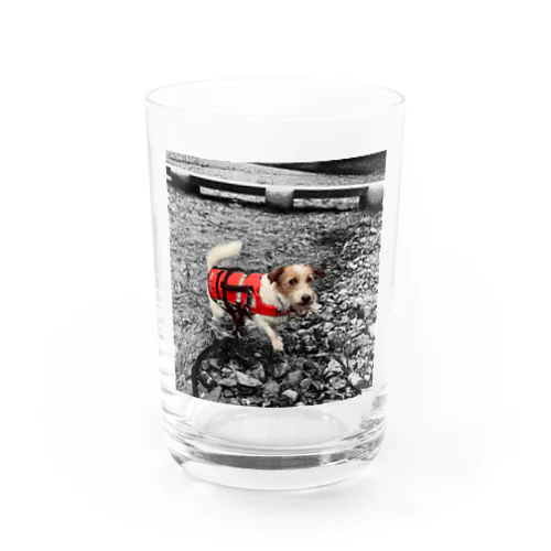 川と俺 Water Glass