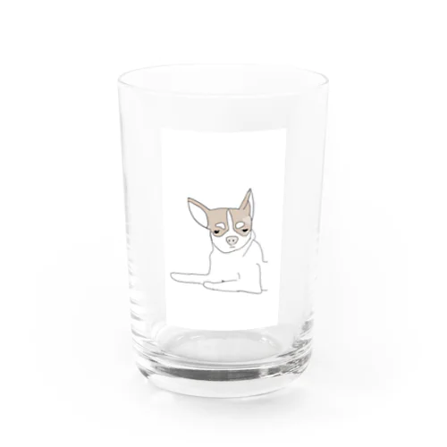 アイケンチワワ Water Glass