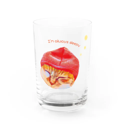 sleepy cat Water Glass