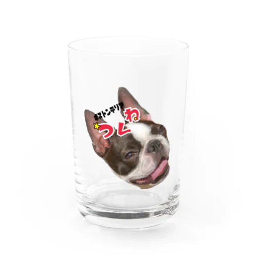 ぼすとんてりあのつくね Water Glass