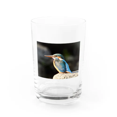 美しいカワセミ、翡翠 Water Glass