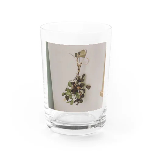 dried  plant  Water Glass
