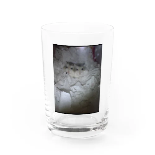 ハムハムハム太郎 Water Glass