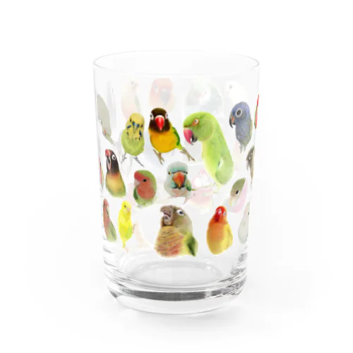 インコいっぱい（１） Water Glass