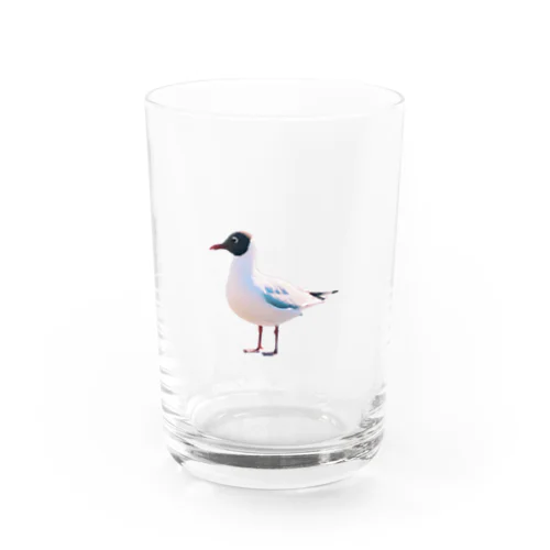 かもめず(ぺん君) Water Glass