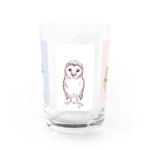 フクロウさん Water Glass