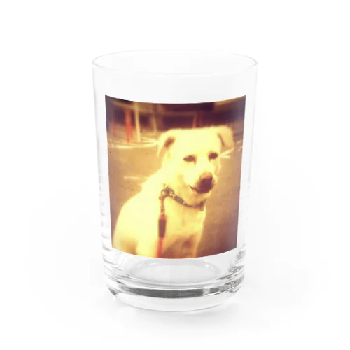 我が家の愛犬 ばん君 Water Glass