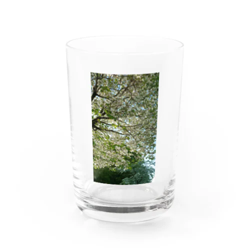 グリーン Water Glass