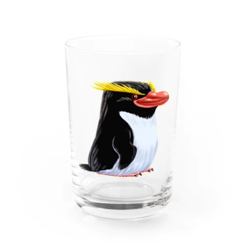 スネアーズペンギン Water Glass