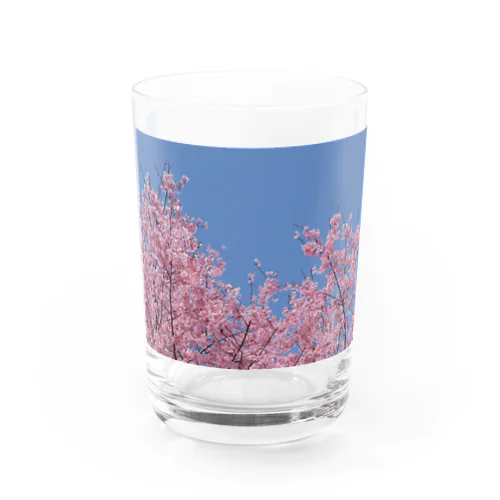 #2 さくら❁ Water Glass