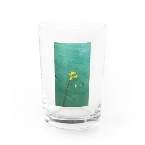 #5 みどりの壁と黄色いお花 Water Glass