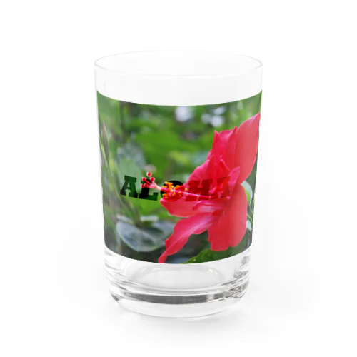 ハイビスカス Water Glass