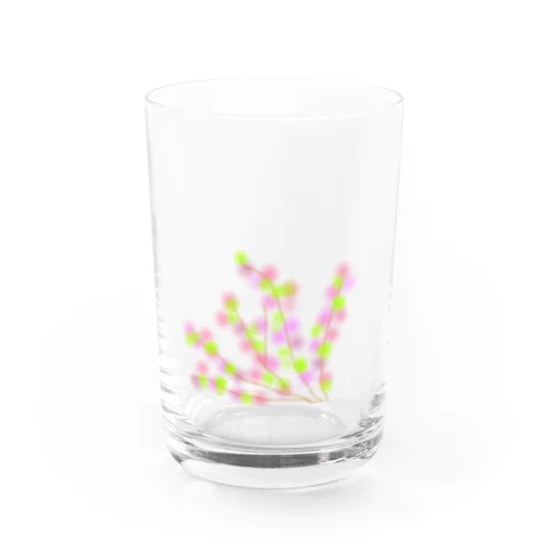 葉桜 Water Glass