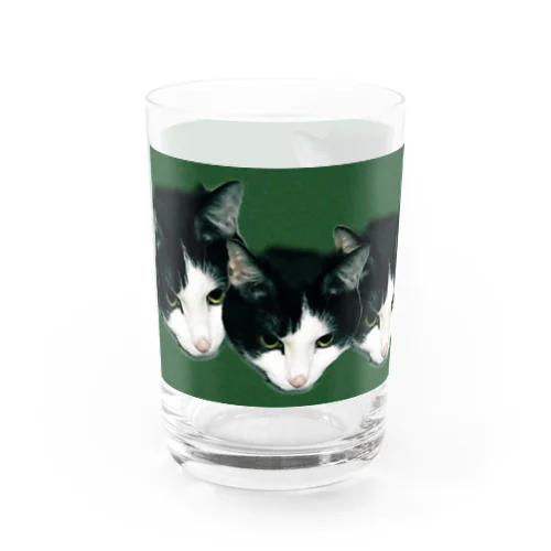 はちわれねこちゃんみどり Water Glass