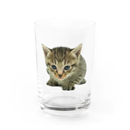 Pino Water Glass