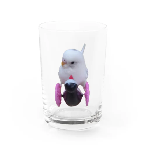 がっちりホールド！(白いインコ、ゴーゴーペンギンを添えて) Water Glass