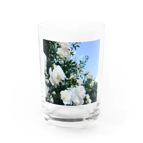 いつかの白い花 Water Glass