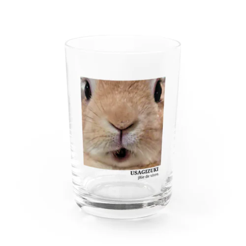 USAGIZUKI うさぎのアップ Water Glass