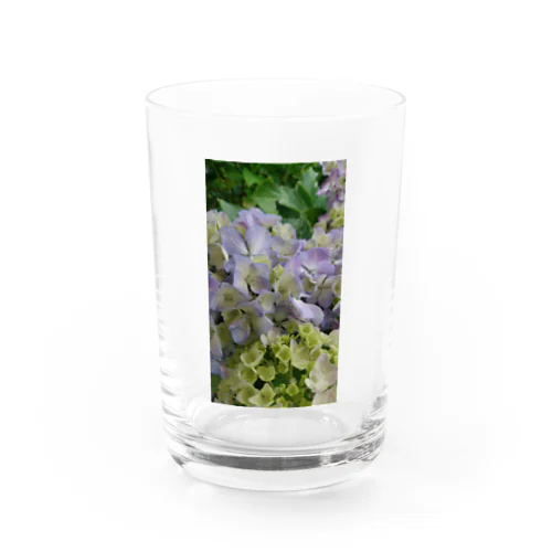 紫陽花 Water Glass