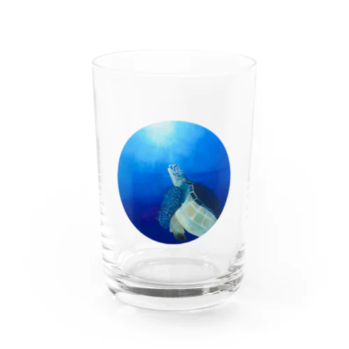 海亀くん グラス
