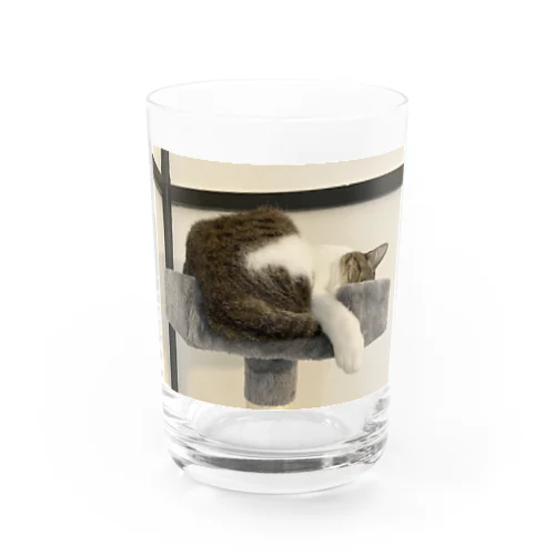 ルビーさん、めり込んでますよ Water Glass
