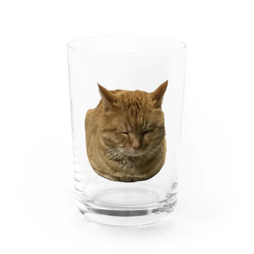 おやすみにゃんこリリー Water Glass