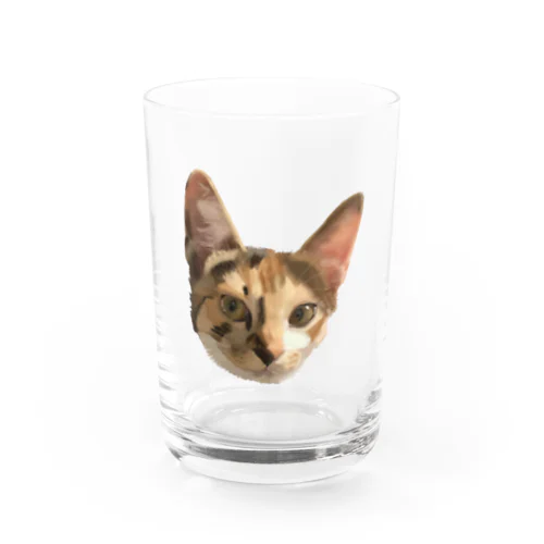 三毛猫様 (水彩色鉛筆画) Water Glass
