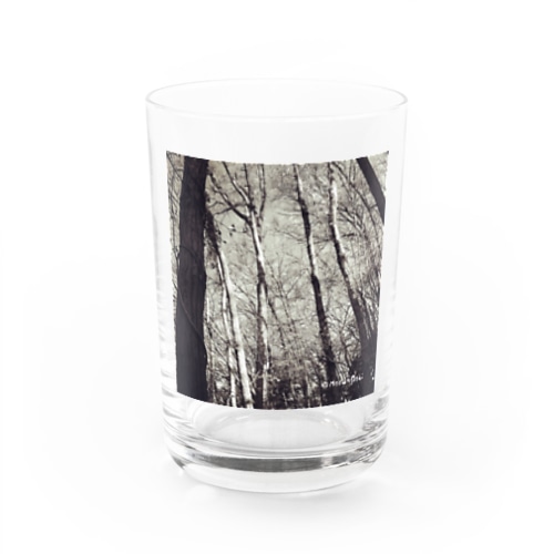 冬の森 （モノクロ）　 Water Glass