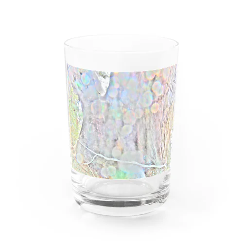 三陸大王杉 Water Glass