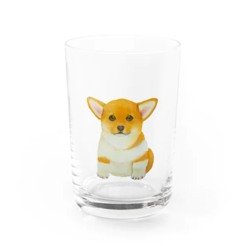 コーギーの子犬　水彩風 Water Glass
