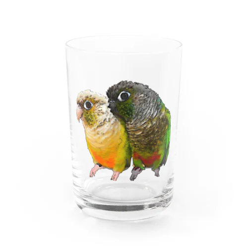 ウロコインコのよもちゃん&らむちゃん☆ Water Glass