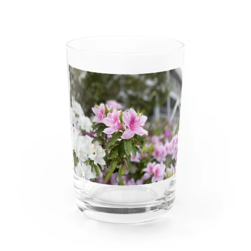 花 Water Glass