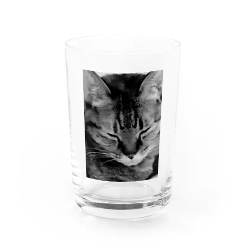 モノクロ猫 Water Glass