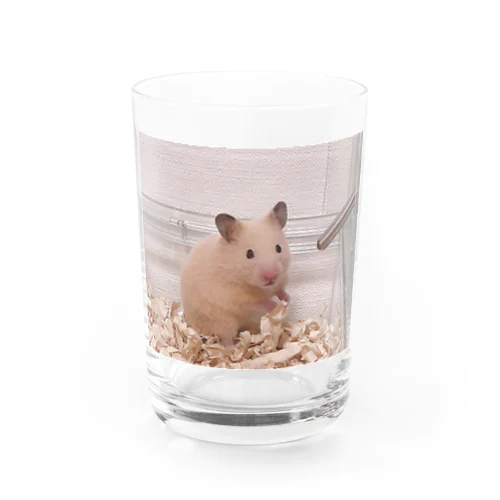 アパレルキンタ Water Glass