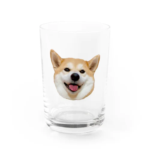 柴犬のまるちゃん Water Glass