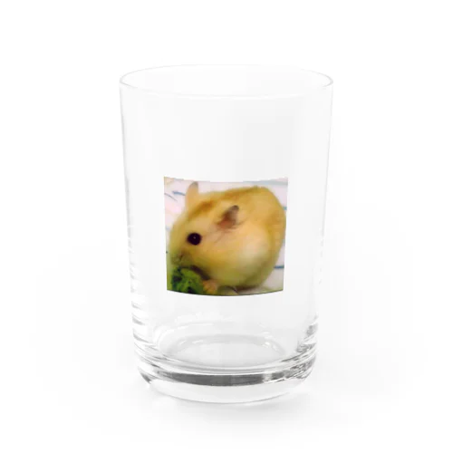 ぼくハムえもん(ハムスター) Water Glass