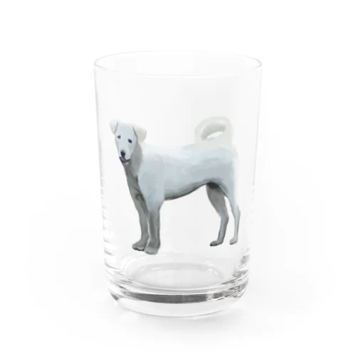 White Dog ふんわり白犬 Water Glass