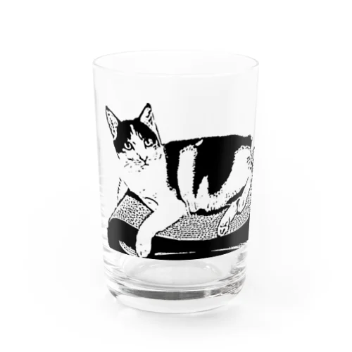 くつろがないネコ Water Glass