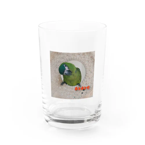 アラレ Water Glass