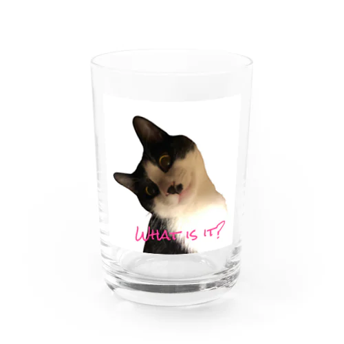 My cat R Water Glass