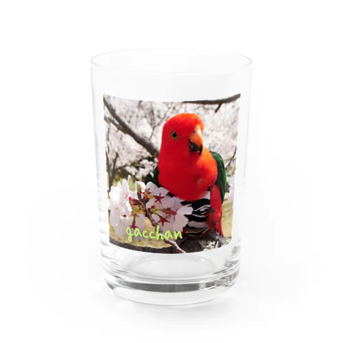 がっちゃんと桜 Water Glass