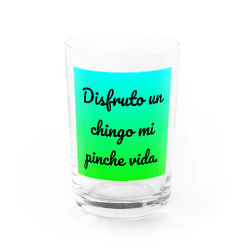 Disfruto un chingo mi pinche vida. Water Glass