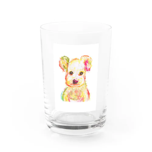 シュナイザー Water Glass