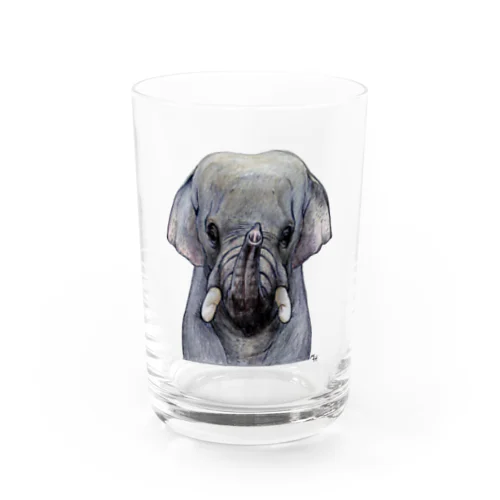 インドゾウ Water Glass